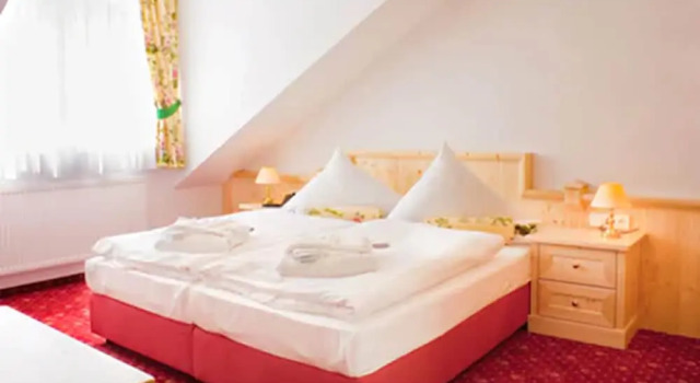 Полулюкс с видом на город Elbhotel Bad Schandau