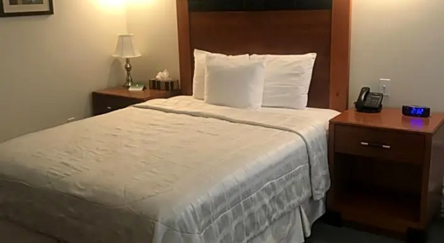 Двухместный люкс Crescent Suites Hotel