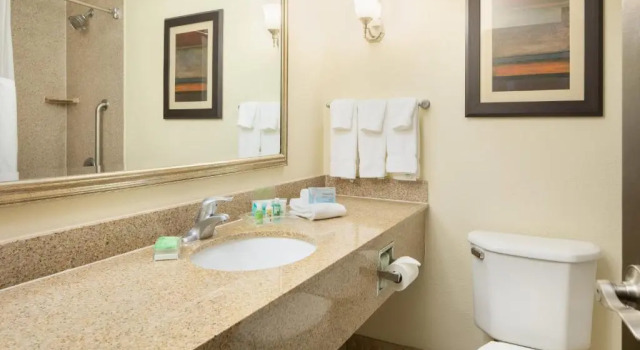 Run of House Holiday Inn and Suites Charleston West by IHG