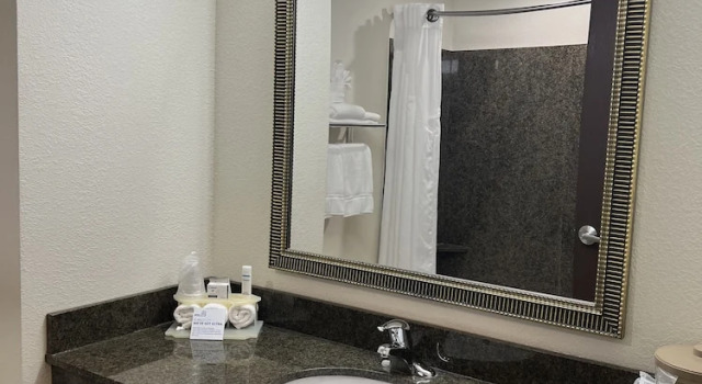 Номер Standard Holiday Inn Express & Suites - Omaha I - 80 by IHG