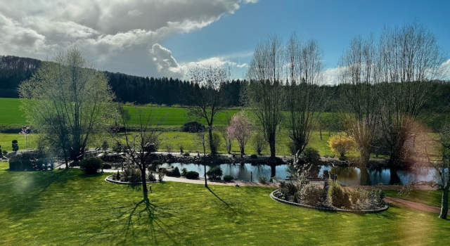 Люкс Hotel LandGut & Residenz DRIEHOF