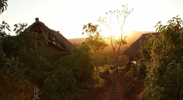 Lemala Ngorongoro Camp, Đặt Khách sạn Ngorongoro Conservation Area Tanzania