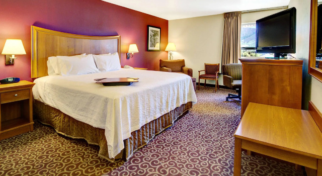 Standard- dobbelt værelse Hampton Inn Butte
