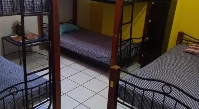 Hostel Monkey
