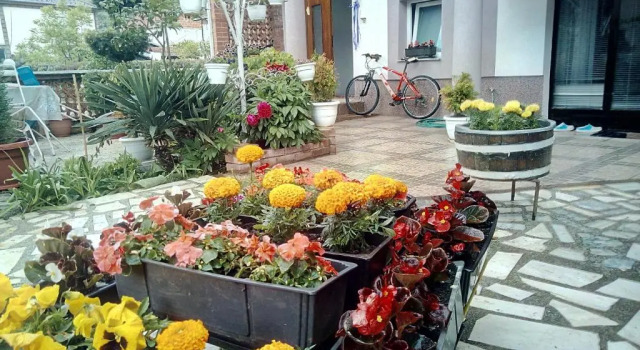 Номер Standard Lile Pestani Accommodation