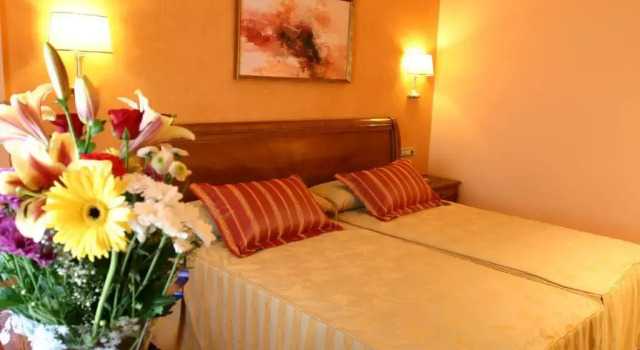 Двухместный номер Standard Sercotel Guadiana
