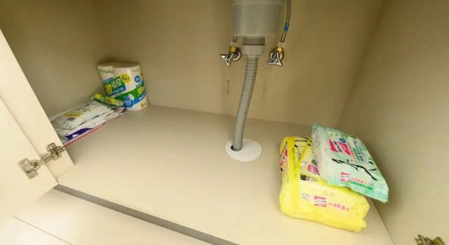 Camera Standard Sakura 93