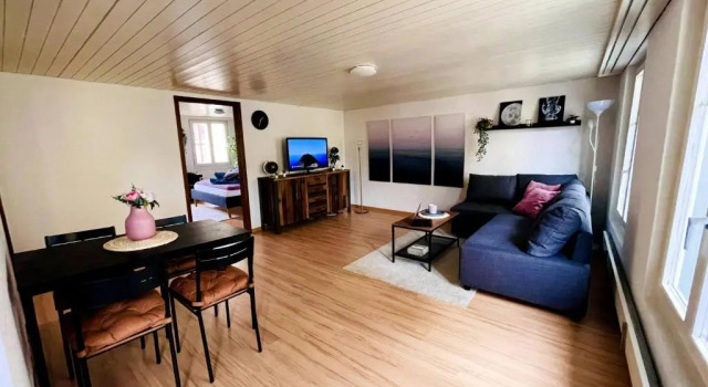 Newly Furnished Beautiful old Building Apartment in the Center With Apple TV