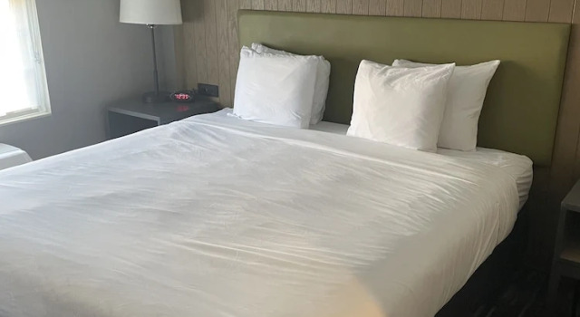 Люкс c 1 комнатой Country Inn & Suites by Radisson, Madison, WI
