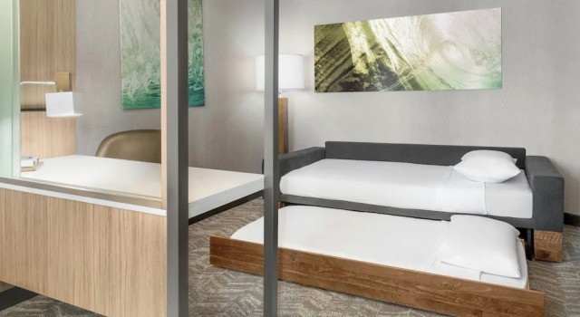 Одноместный люкс SpringHill Suites by Marriott Holland