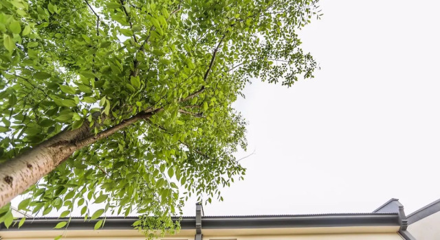 JOMO Inn Wuzhen, Book Hotel Hoteller i Wuzhen med morgenmad, Morgenmad