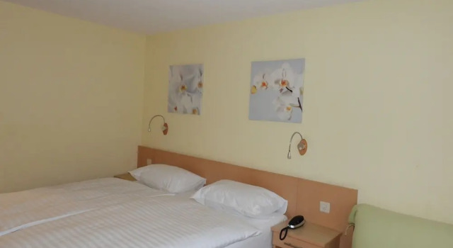 Двухместный номер Economy с балконом Hotel Sherlock Holmes "nur 200m zur Gondelbahn Hasliberg"