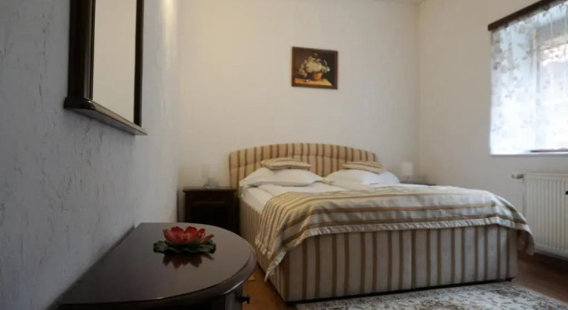 Двухместный номер Standard Hotel Claudiu