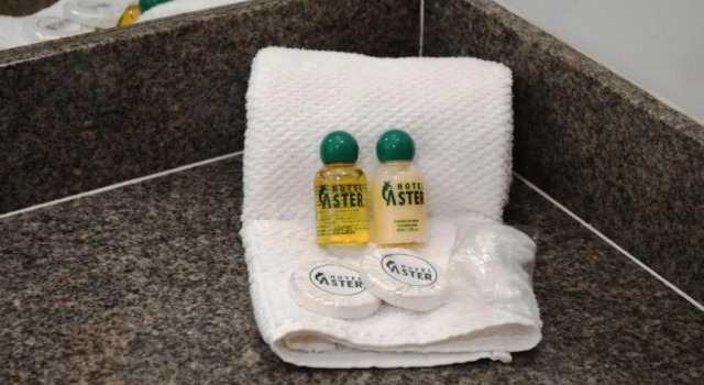 Двухместный номер Standard Hotel Áster