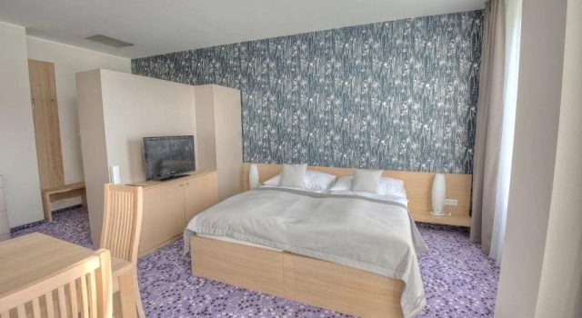 Hotel Vinice Hnanice, Reservar Hotel Hnanice Thayatal