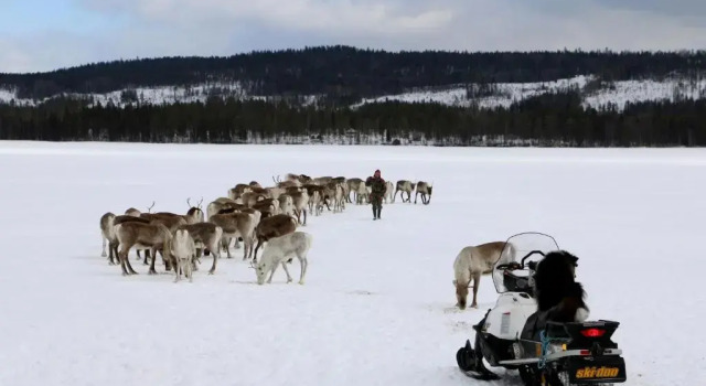 Puolukkamaan Pirtit, Buchen Sie Ferienwohnung Hotels in Lappland mit Parkplatz, Parkplätze