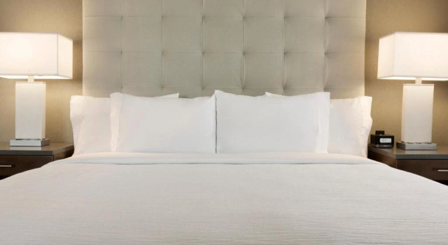 Одноместный люкс с 2 комнатами Embassy Suites by Hilton Greenville Downtown Riverplace
