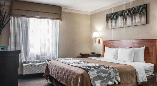 Двухместный люкс Sleep Inn & Suites Conference Center and Water Park