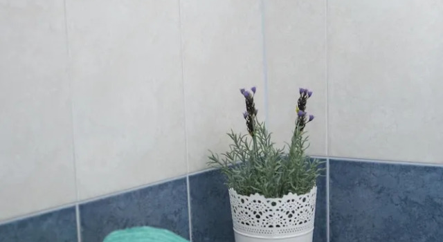 Номер Standard Guest house Mendi