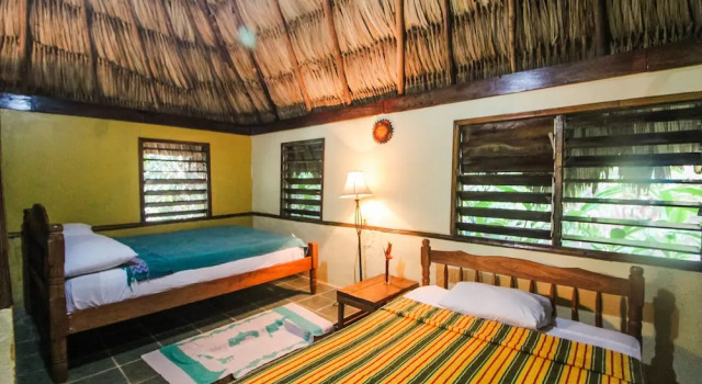 Cohune Palms River Cabanas, Rezerwuj Hotel Bullet Tree Falls Cayo