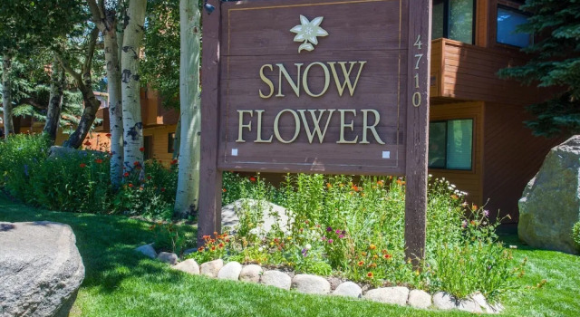 Snowflower 62