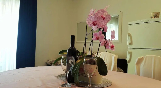 Apartments Anita - Punta Skala, Забронировать Апартаменты/квартира Петрчане Задарская жупания, рядом с Пляж Радман