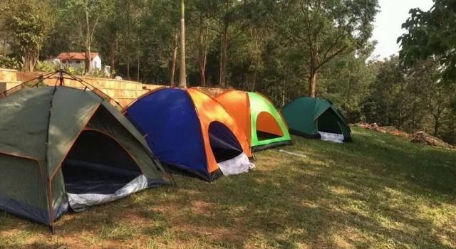 Tente Nile Park - Campsite