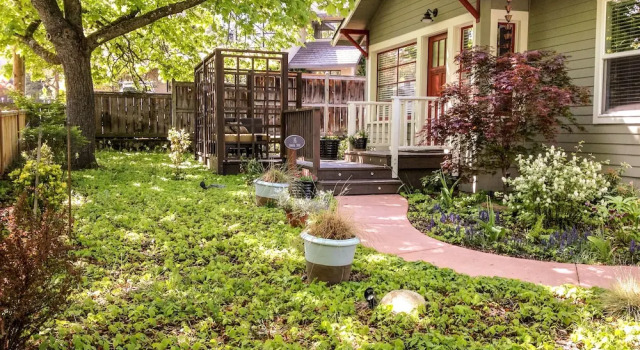 Люкс с балконом и с красивым видом из окна Palm Cottages
