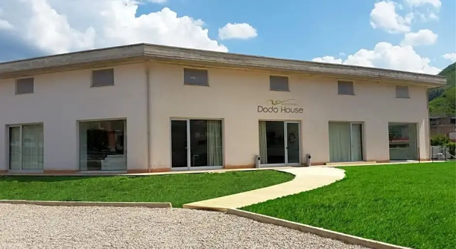 Dodo House