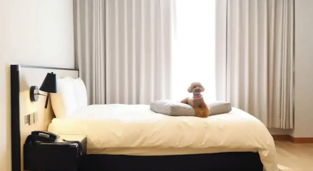 Номер Premium Maison Glad Jeju