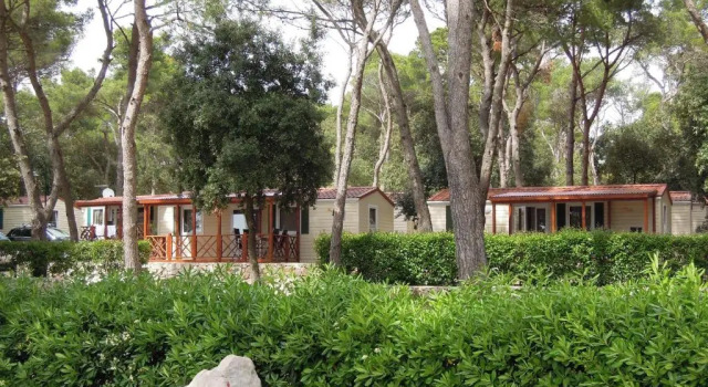 Номер Premium Victoria Mobilehome Camping park Soline