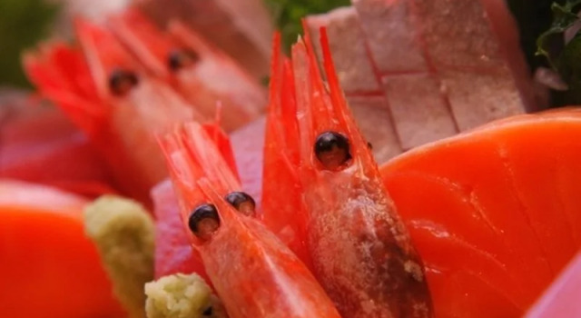 Umimoto