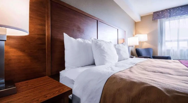 Номер Standard Comfort Inn & Suites