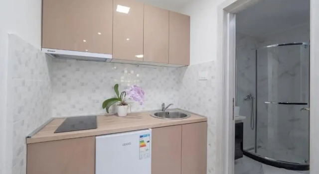 Студия Classic Cozy Apartments Kostovic
