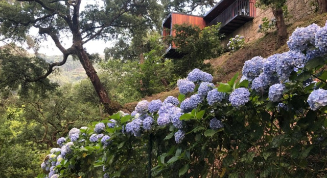Sobreiro Valley, Забронировать Отель Виейра-ду-Минью Пенеда-Жереш