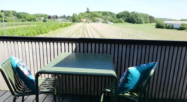 Номер Standard B&B De Stuifduinen