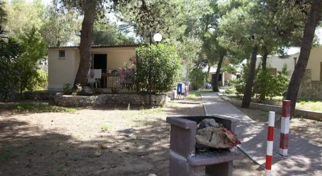 Bungalou 1 dormitor Spiaggia Lunga Camping