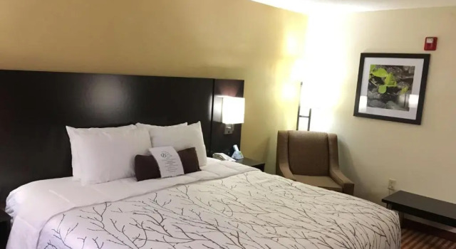 Номер Standard Best Western Patriots Point