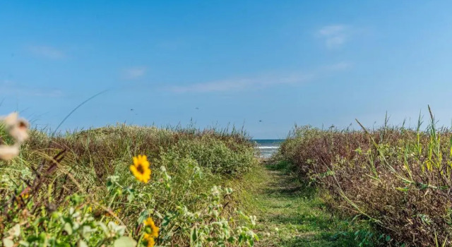Коттедж Cute Beach Bungalow Walk to the Beach