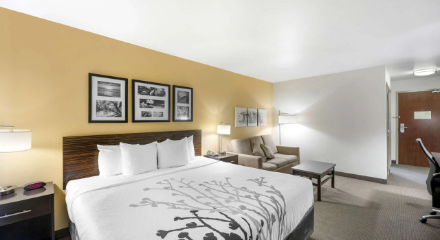 Двухместный люкс Sleep Inn & Suites Carlsbad Caverns Area