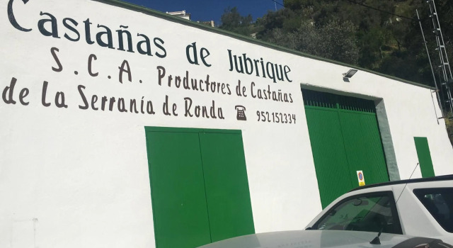 Júbrique