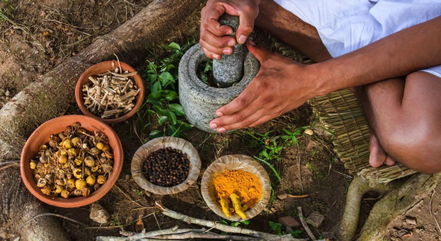 Mahagedara Wellness Retreat