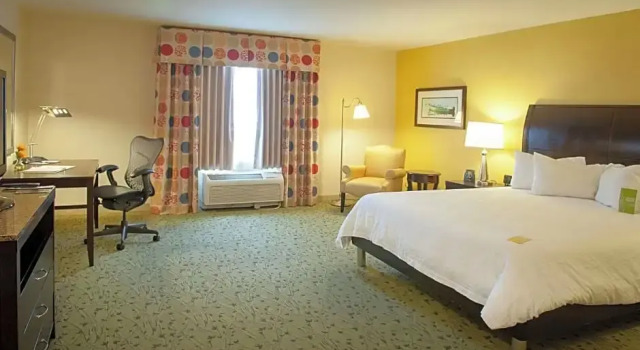 Люкс c 1 комнатой Hilton Garden Inn Pensacola Airport/Medical Center