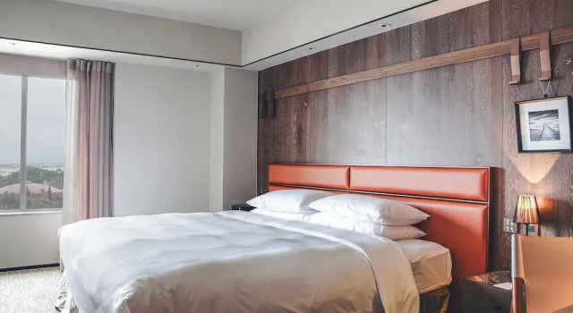 Двухместный номер Executive с видом на море Sheraton Taitung Hotel