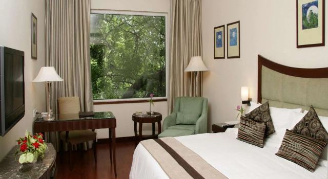 Двухместный номер Superior Muse Sarovar Portico Nehru Place