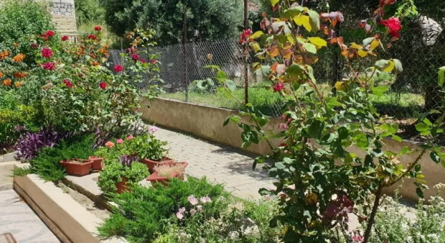 Студия Sunday Mood