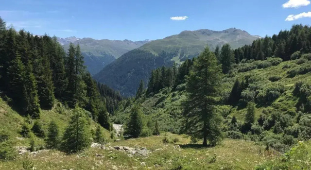 Апартаменты Ferienapartment Davos