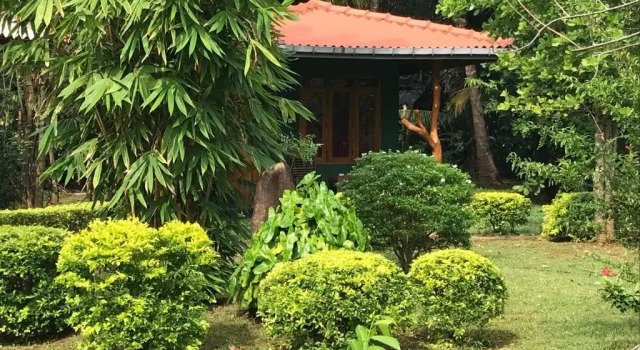 Двухместный номер Deluxe Liyon Rest sigiriya