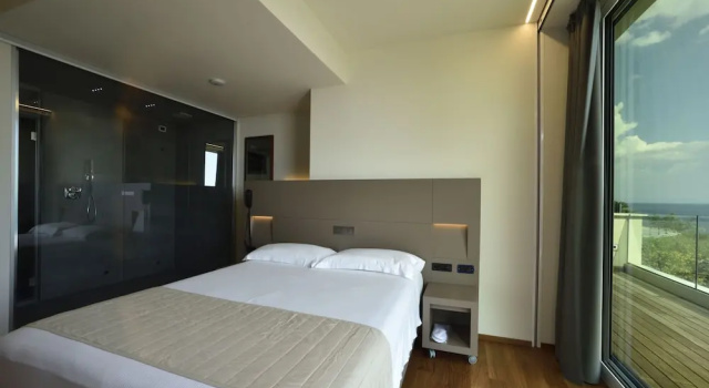 Номер Superior Hotel Le Roi