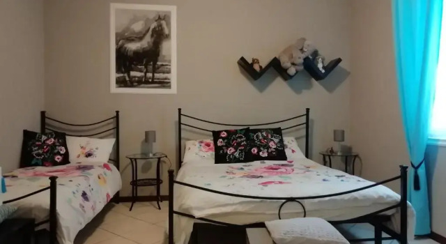 B&B Miele